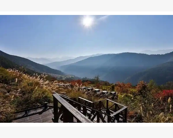 B2B电商系统从搭建到运营全流程拆解