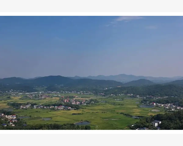 宝宝脾胃虚寒：如何调理孩子的肠胃健康