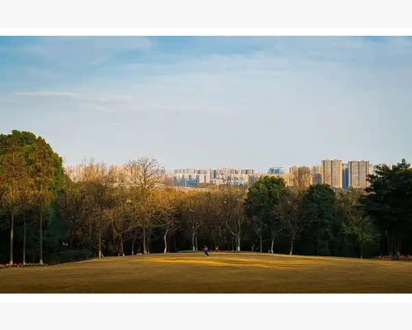 通过昏迷患者怎么化痰：中医帮助恢复呼吸健康的古老智慧